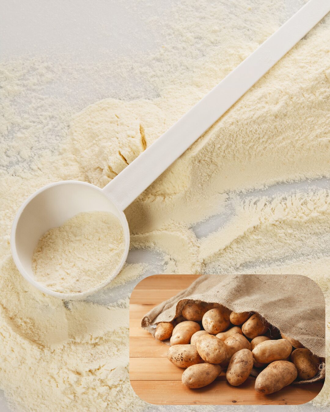 proteine delle patate macrolibrarsi