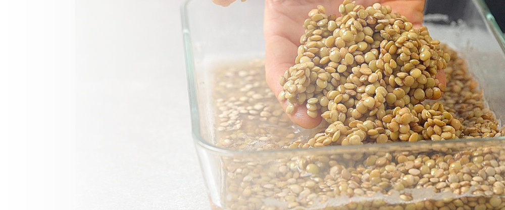 meal prep essenziale autunno